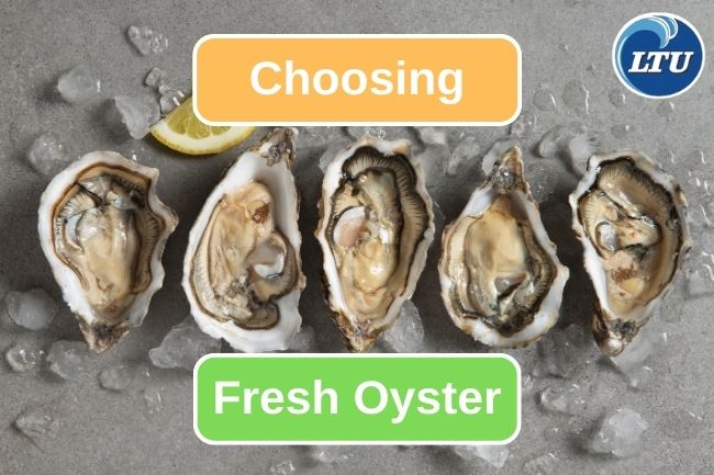 5 Ways to Choose Fresh Oyster
